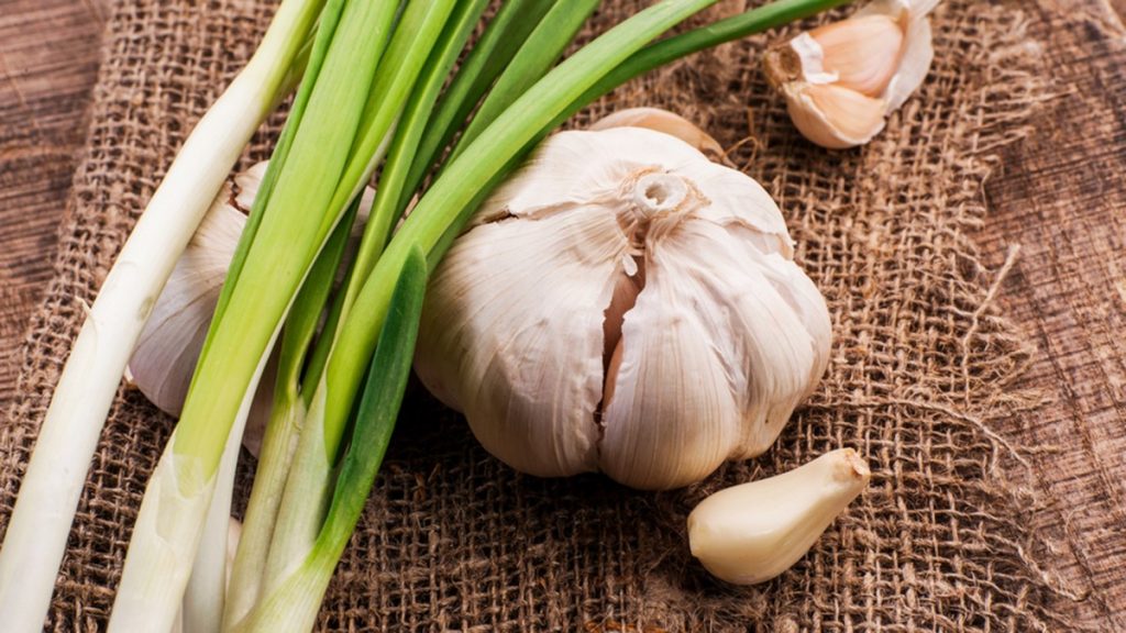 garlic and triglycerides