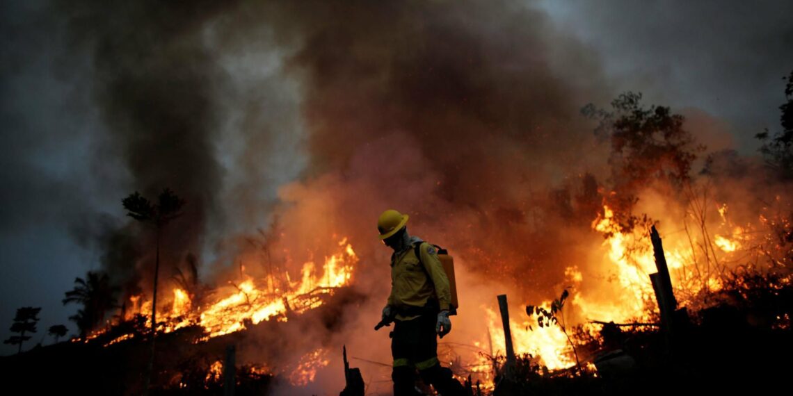 amazon wildfire