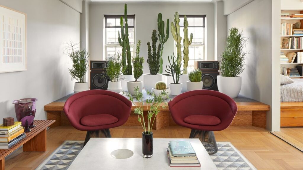 House full of Indoor air-purifying plants