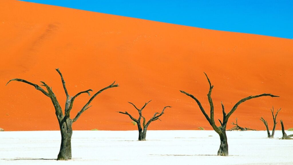 Deadvlei (Namibia)