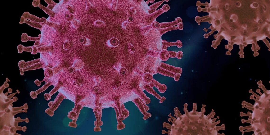 Viruses