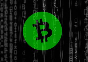 51 Percent Attack on bitcoin