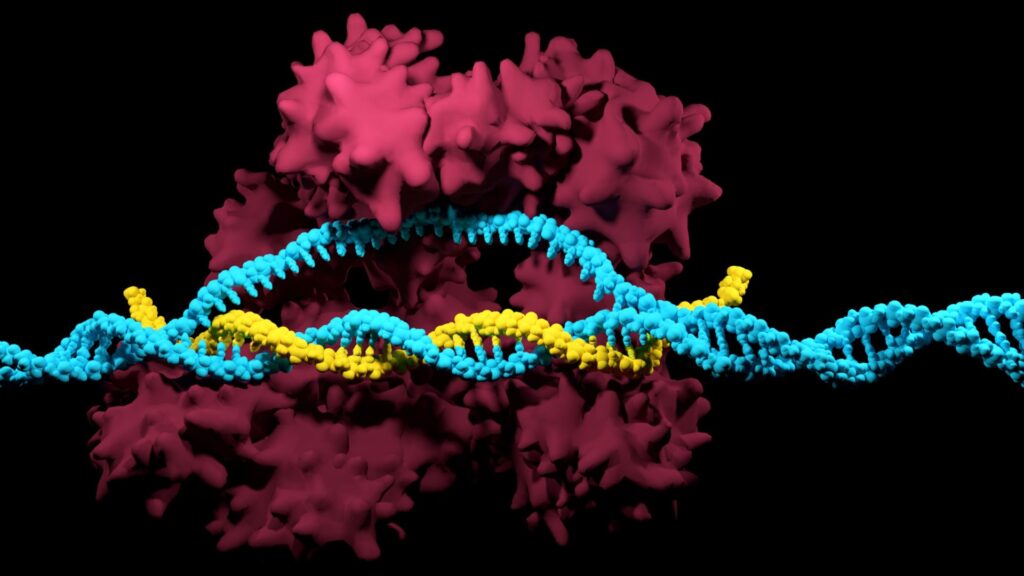 What is enzyme