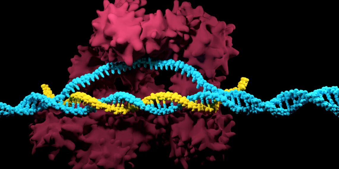 What Is Enzyme? A Look at the Bioindustry’s Super Talents 41 What is enzyme