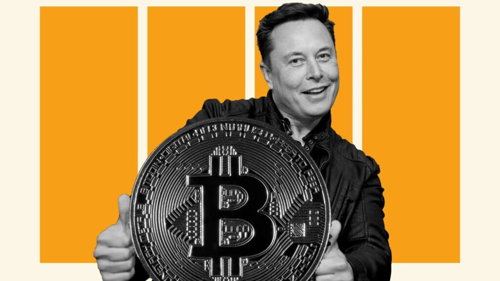 elon musk bitcoin