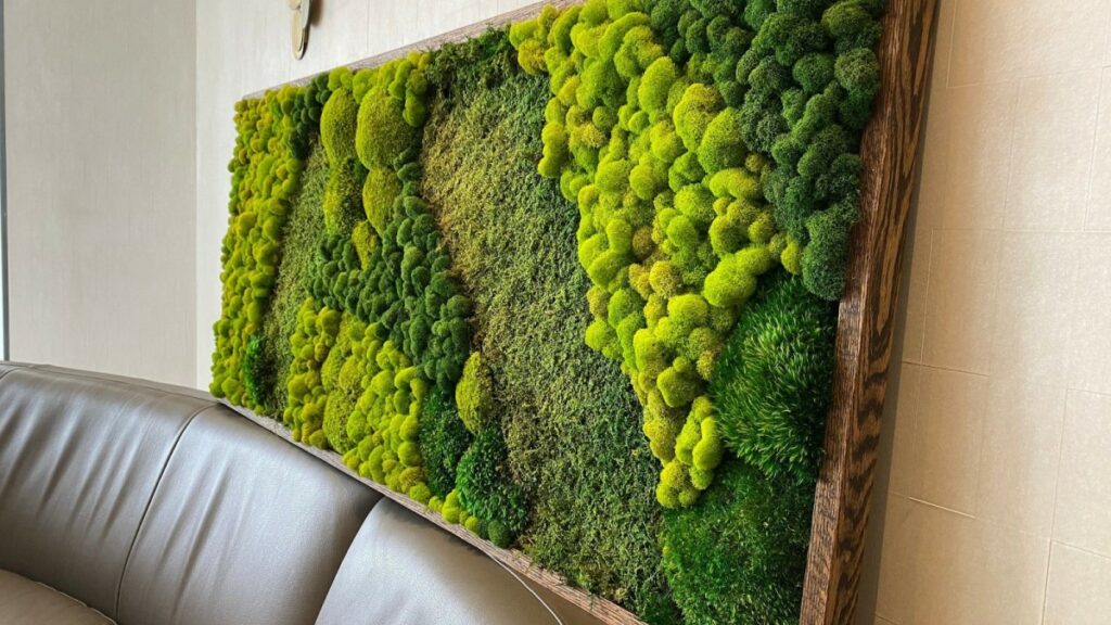 Moss frames