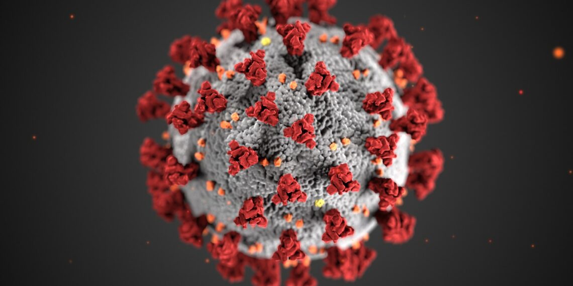 How Does a Virus Go to Sleep, and How We Can Wake Them Up? 41 Virus