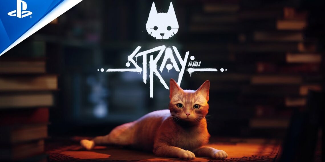 Stray game
