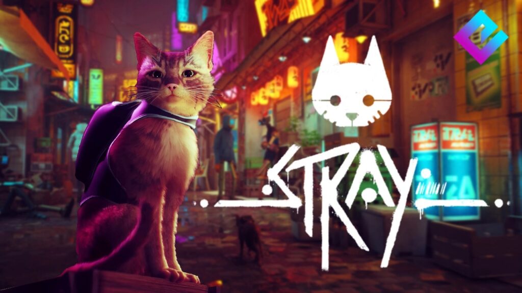 Stray game