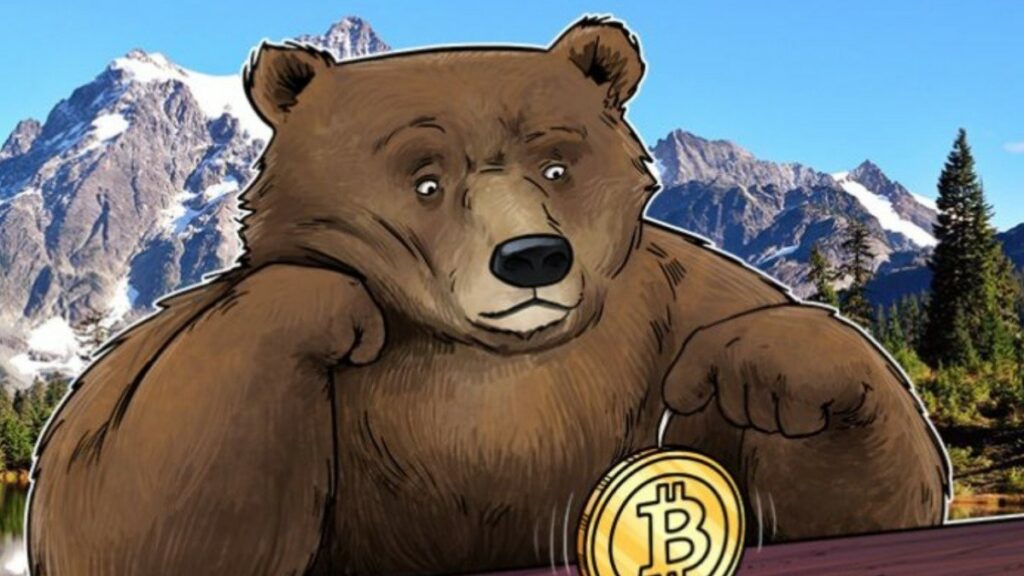 Crypto Bear Market