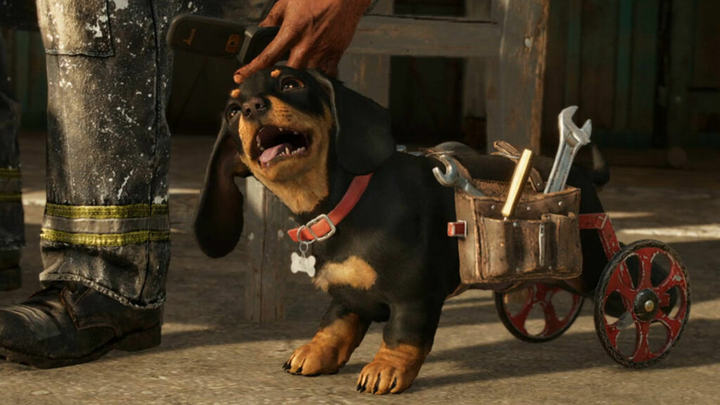 Chorizo far cry 6 Best Games About Cats and dogs