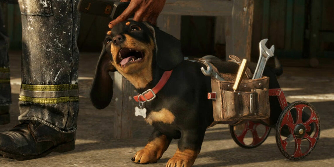 Chorizo far cry 6 Best Games About Cats and dogs