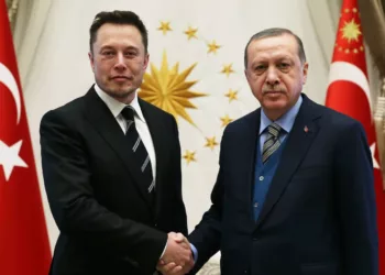 Elon Musk Turkey