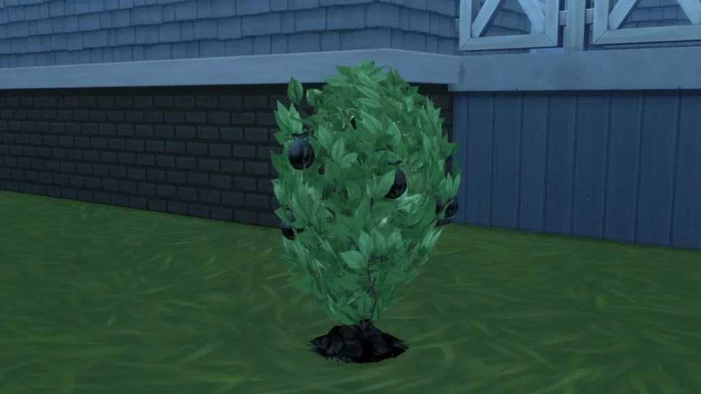 The Sims 4 trash fruit