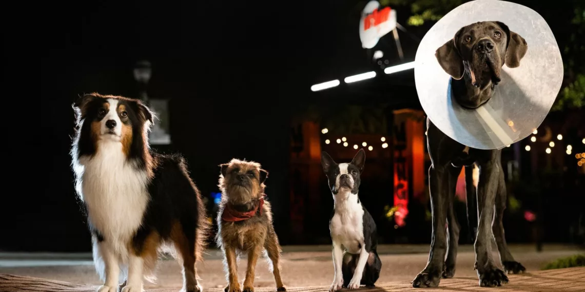 'Strays' Takes the Comedy Crown: Premieres at No. 1 on Vudu's Weekly Chart 41 strays