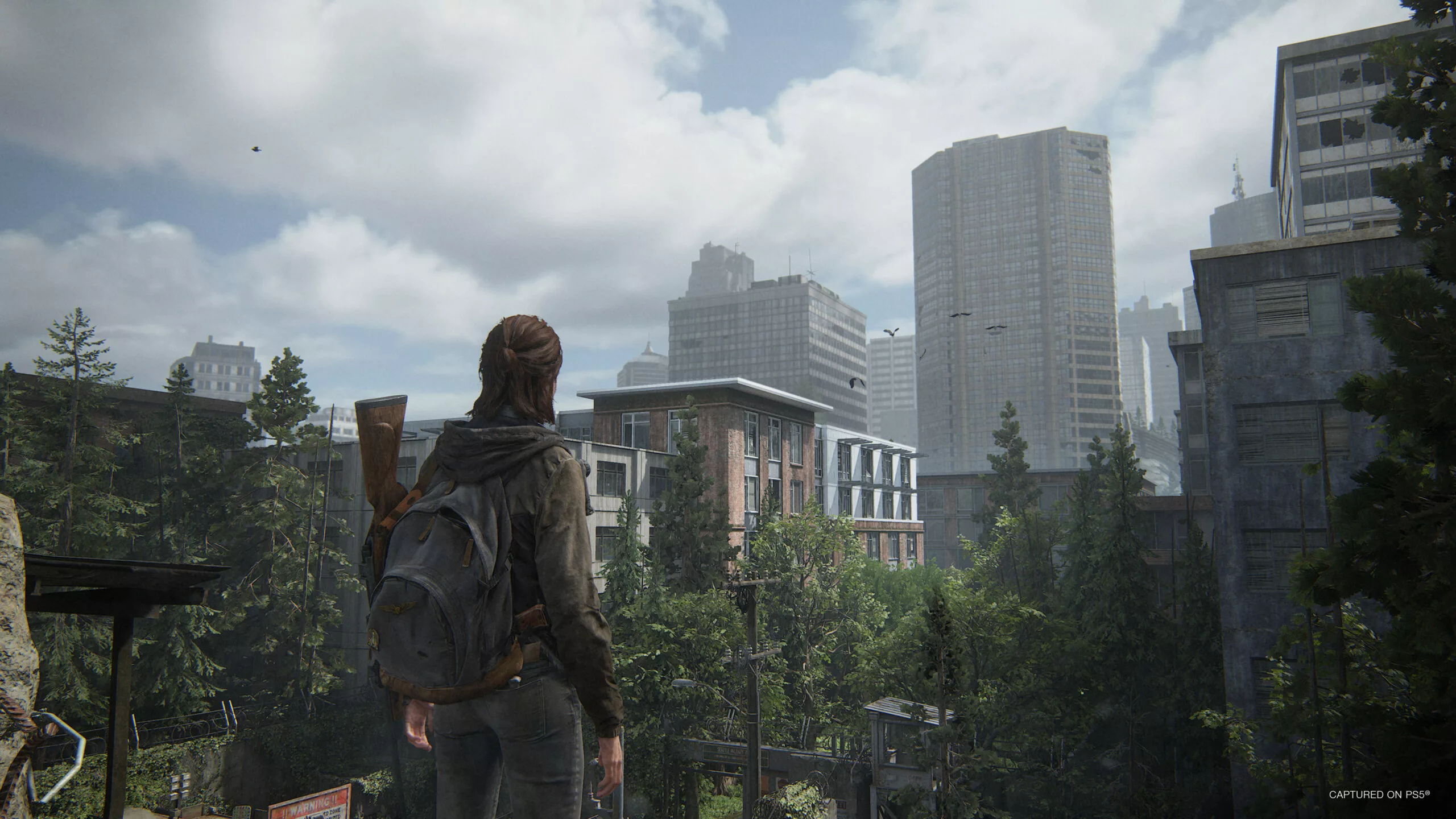 The Last of Us Part II Remastered Review