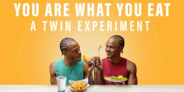 You Are What You Eat: A Twin Experiment Review