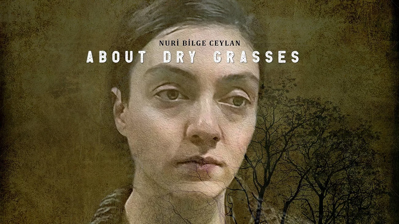 About Dry Grasses Review: Ceylan's Visual Philosophy - Gazettely