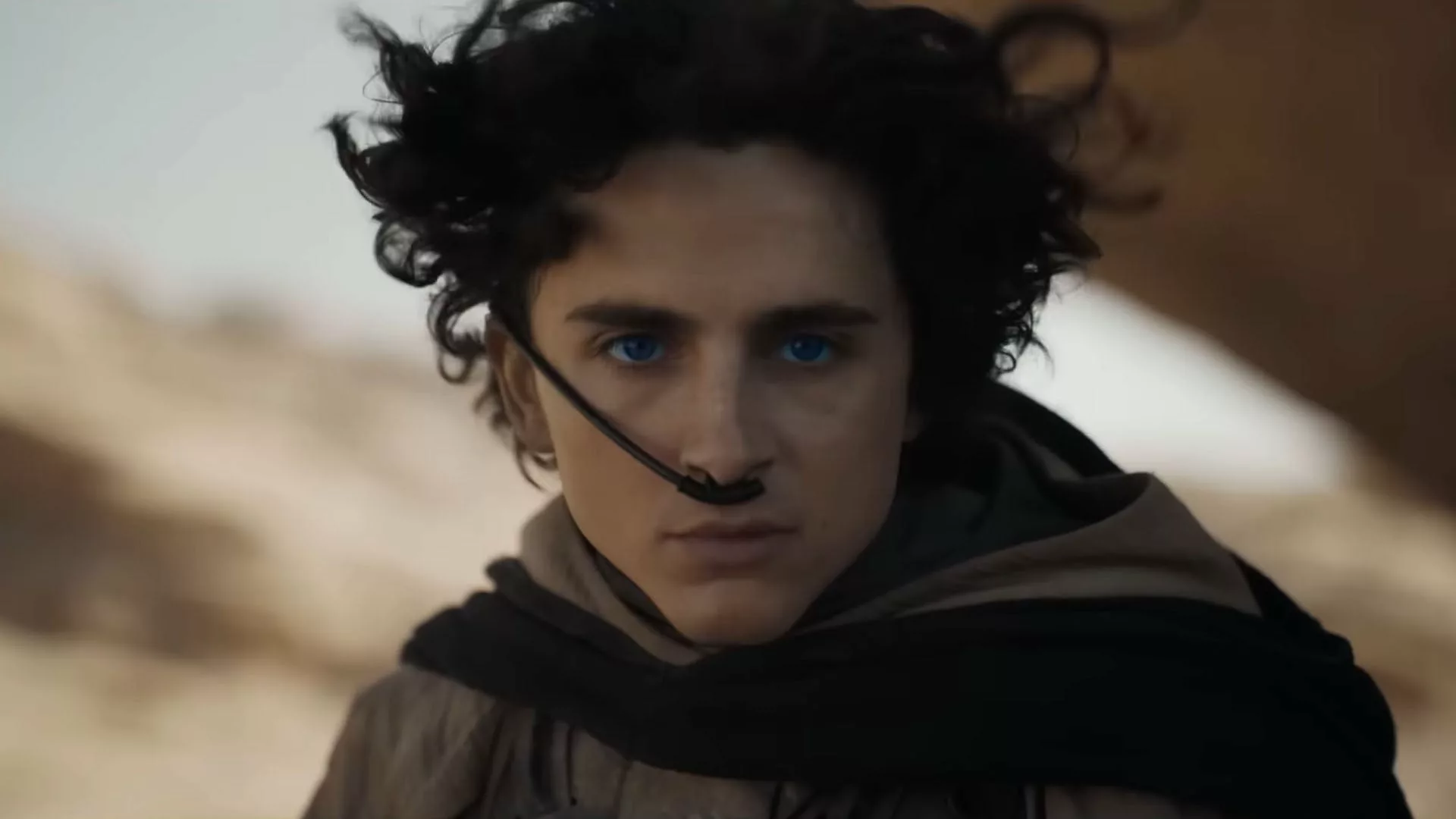 The Desert Awakens with Timothée Chalamet in Dune's Latest Chapter ...