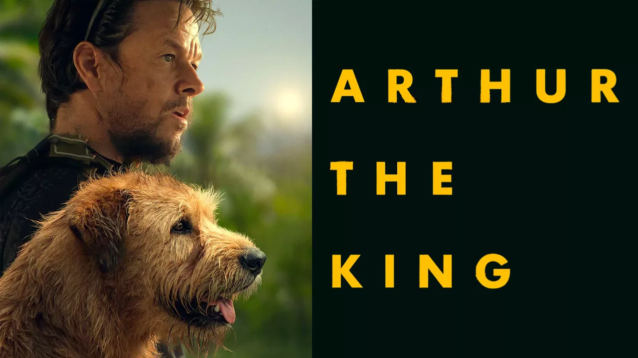 Arthur the King Review: Heartwarming but Formulaic Dog Tale - Gazettely