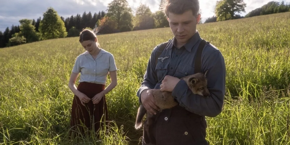 The Fox review