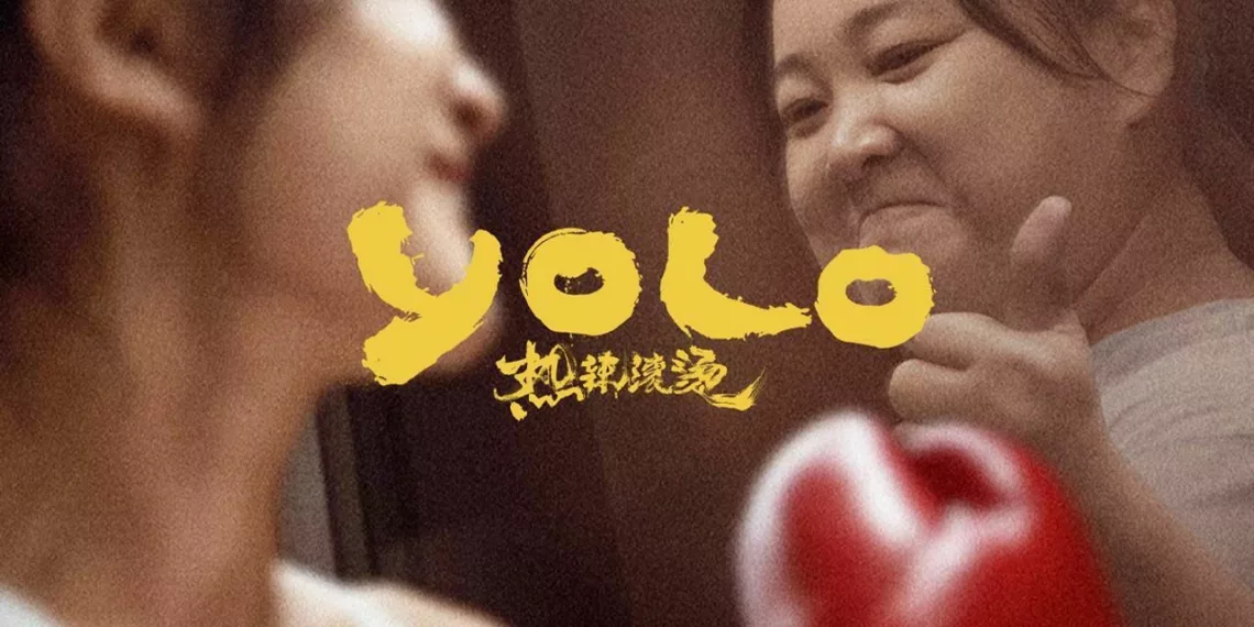 YOLO review
