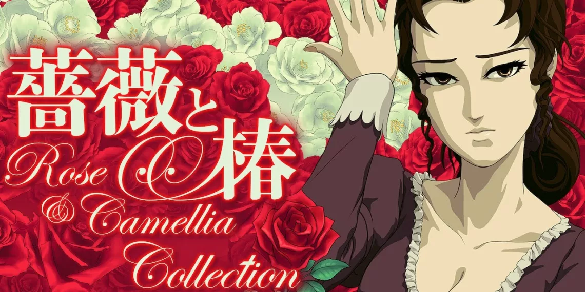 Rose & Camellia Collection Review