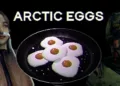 Arctic Eggs review