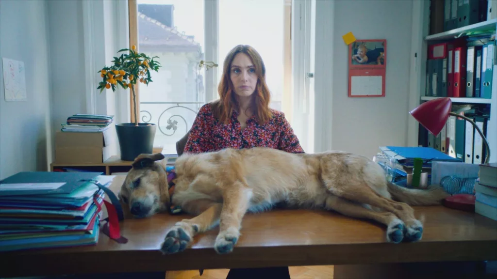 Dog on Trial Review