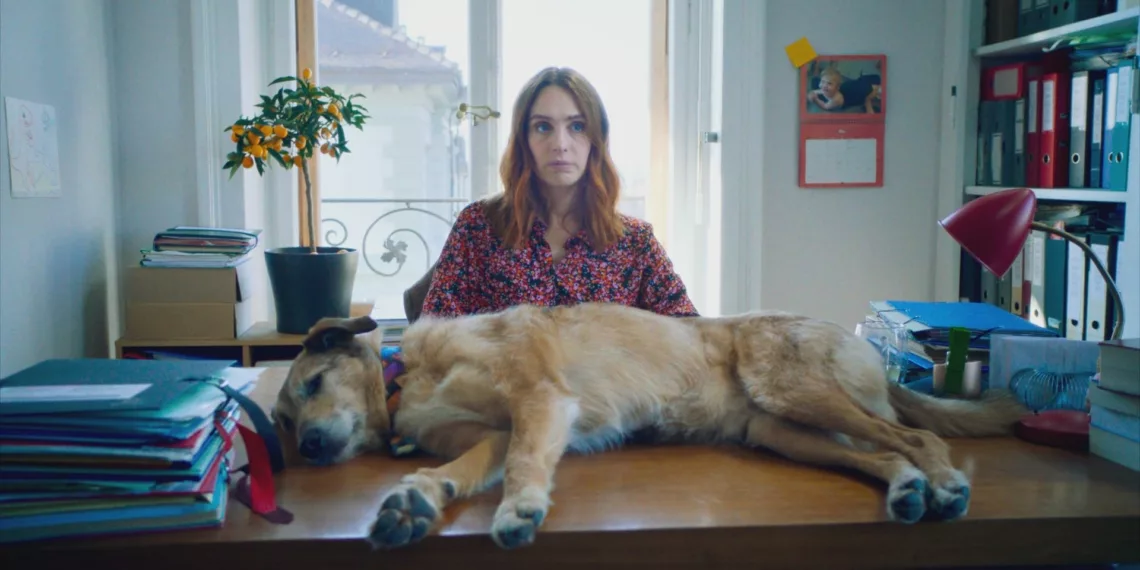 Dog on Trial Review