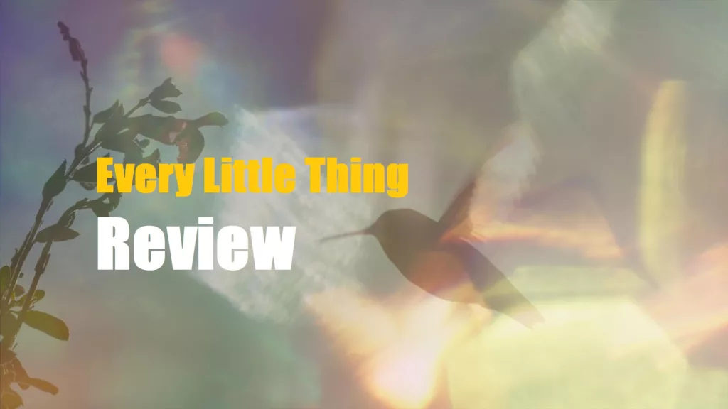 Every Little Thing Review