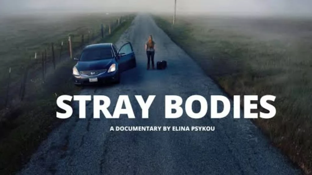Stray Bodies review