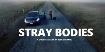 Stray Bodies review