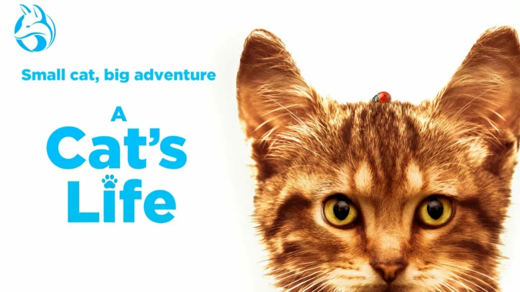A Cat's Life Review