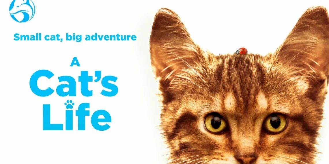 A Cat's Life Review