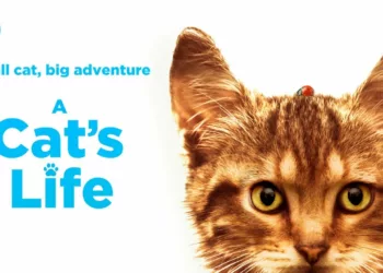 A Cat's Life Review
