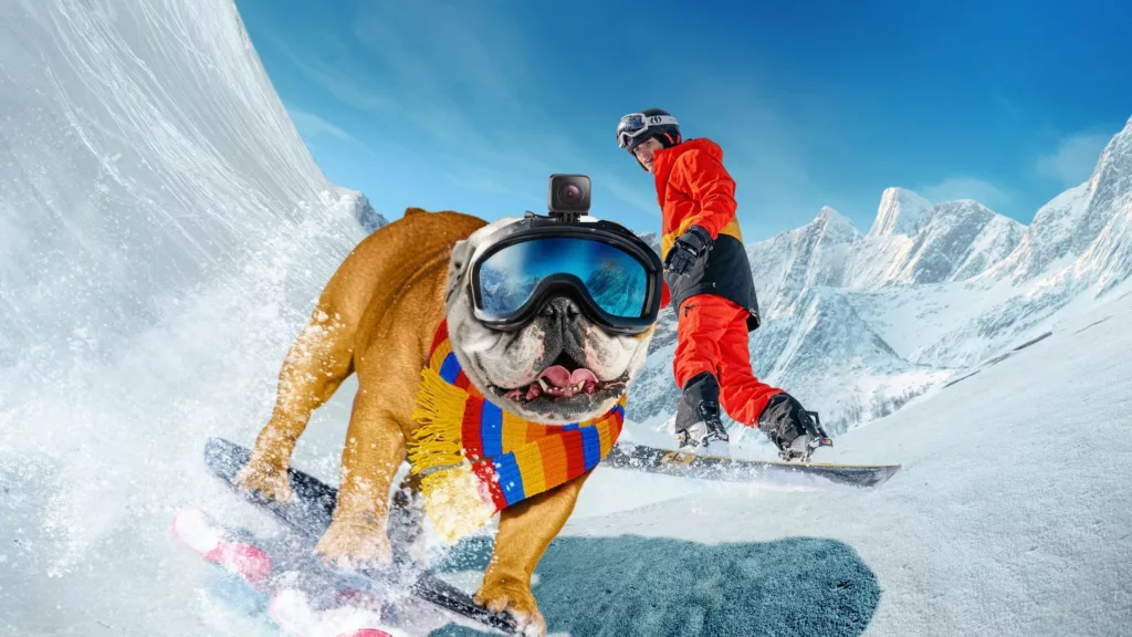 Powder Pup review
