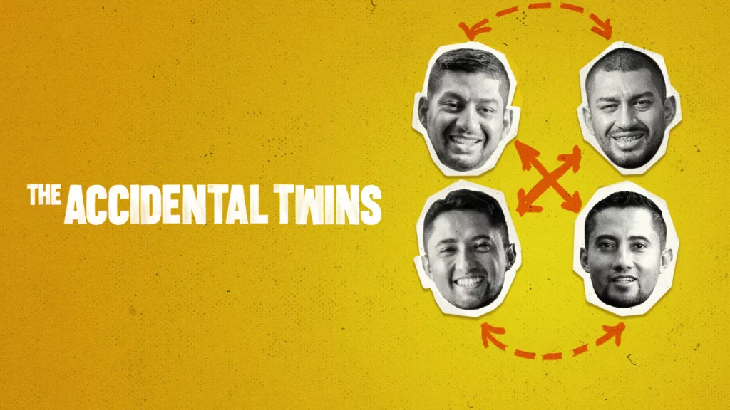 The Accidental Twins Review