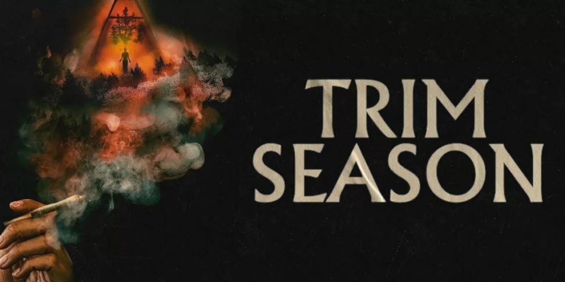 Trim Season Review: Reflections from the Trimming Room 41 Trim Season Review