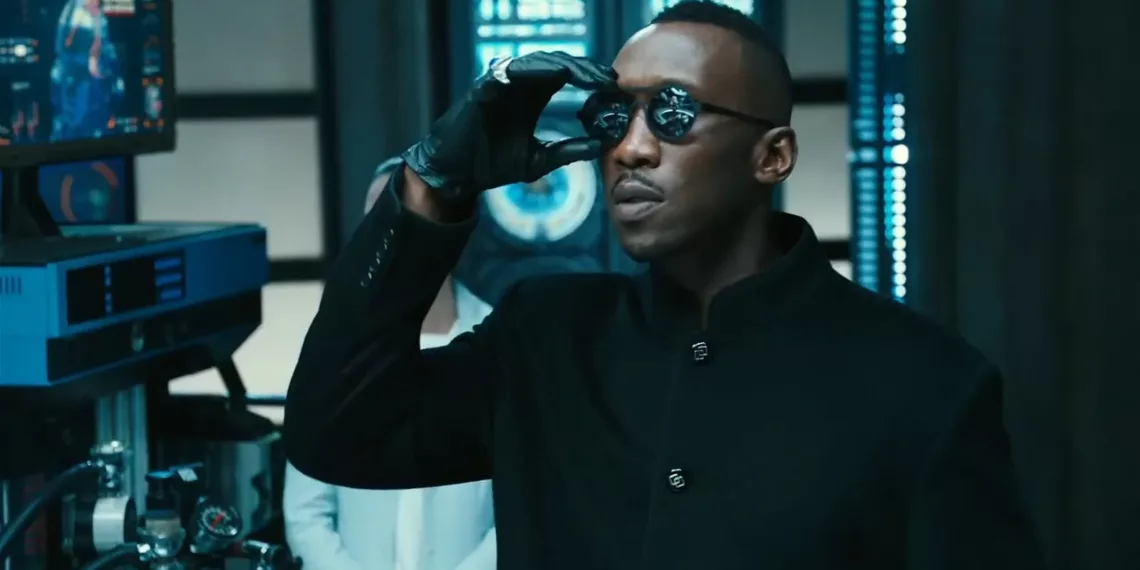 blade