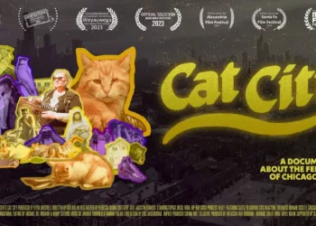 Cat City Review