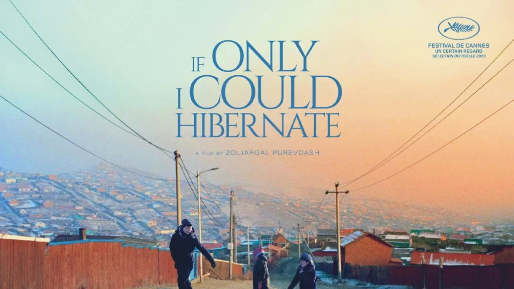 If Only I Could Hibernate Review