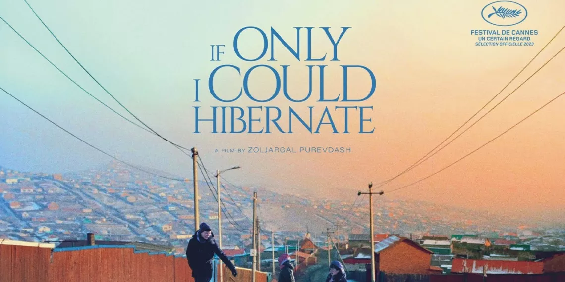 If Only I Could Hibernate Review