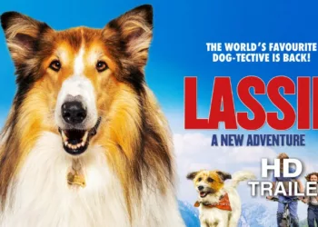 Lassie - A New Adventure Review