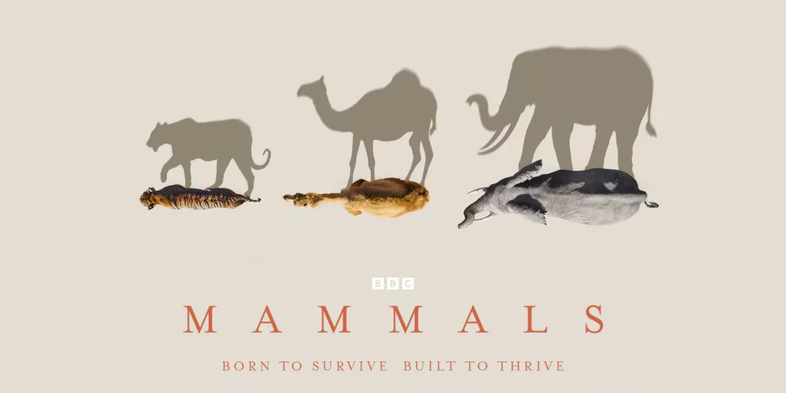 Mammals Review: A Technical Tour de Force 41 Mammals Review
