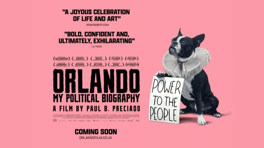 Orlando, My Political Biography Review