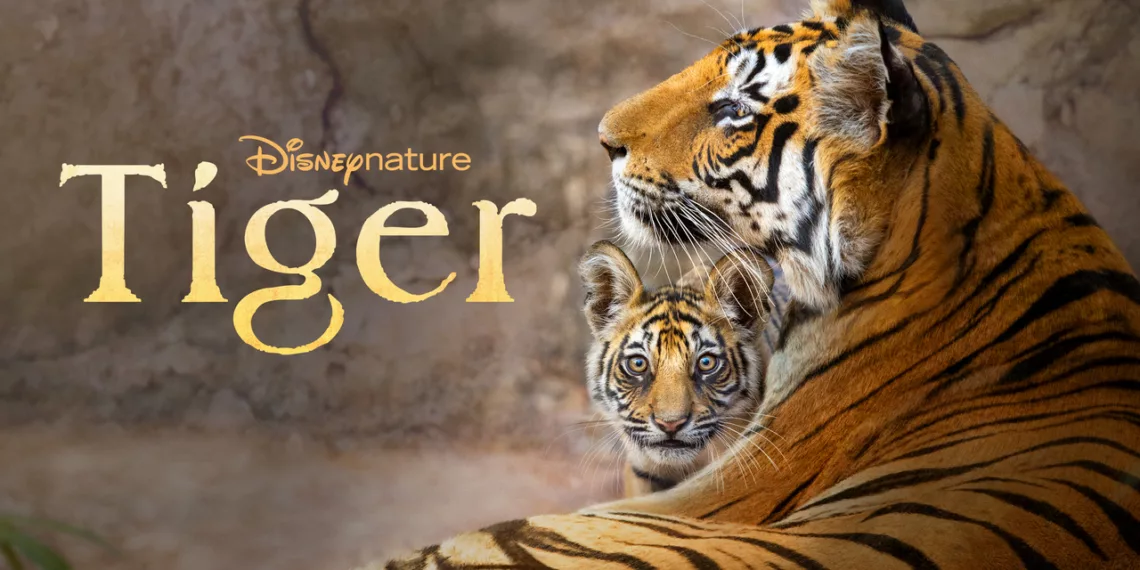 Tiger Review