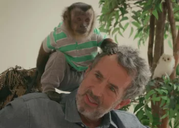 Chimp Crazy