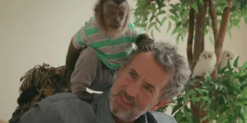 Chimp Crazy