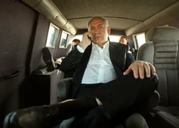 The Bibi Files
